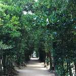 備瀬崎養殖所 - 