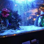 BALInese Cafe 高崎問屋町 - 内装（水槽1：クリスマス仕様）