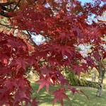 リョウリヤ ステファン パンテル - 