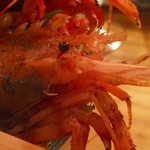 海老炉端 orb - 円らなお目目