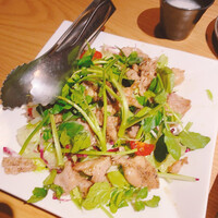 鳥ばか一代 -  鳥ばか一代 -