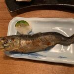 夜ノ焼魚 ちょーちょむすび - 【とろいわし塩焼】◎2019/11