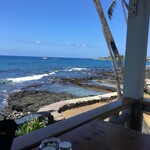 Daylight Mind Coffee Company - 