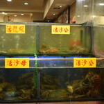 鵝肉城活海鮮 - いけす