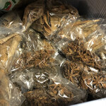 インド･パキスタン料理 ホット・スプーン - 