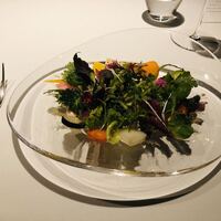 レフェルヴェソンス - 