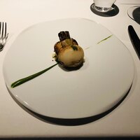 レフェルヴェソンス - 