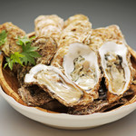 steamed Oyster