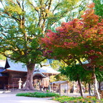 白玉饅頭　元祖 吉野屋 - 