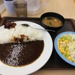 松屋 - 新オリジナルカレー大￥490＋ヤサイ￥110