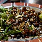 Độc Quán - カメムシ