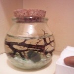 じゃんけんポン - マリモ