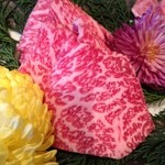 たいが - リブ芯