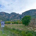 La Bastide de Moustiers - ホテル近くの羊牧場