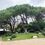 Michel Kayser Restaurant Alexandre - 手入れの行き届いた庭