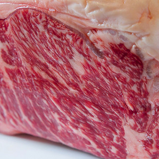 タレとの相性にとことんこだわった牛肉は、九州産の褐毛和種