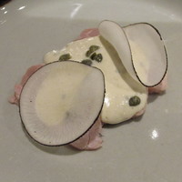 リストランテ ハナタニ - マイアーレ トンナート（神戸ポークもも肉 ツナソース）