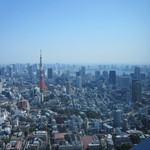 マドラウンジ - 東京タワー