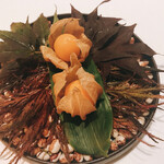 朗 長谷川稔Lab - 