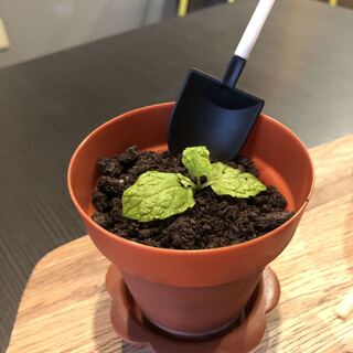 アルファ フード&ドリンク_1