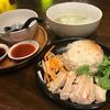 49 Asian Kitchen + Bar - 料理写真:海南鶏飯（小）