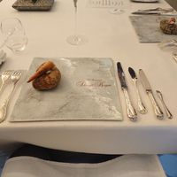 シンジコガ - 秋刀魚のムース