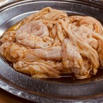 ほがらか屋 - シロ