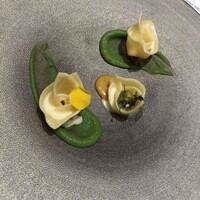 クイントカント - 