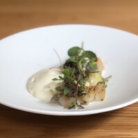 ロテュス - 貝のサラダ仕立て
