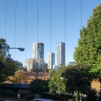 鰻割烹 伊豆栄 本店 -  鰻割烹 伊豆栄 本店 -