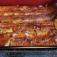 鰻割烹 伊豆栄 本店 -  鰻割烹 伊豆栄 本店 -