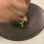 カーサ カルマ - さくさく