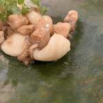 カーサ カルマ - オレキエッテ