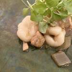 カーサ カルマ - もっちり