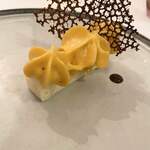 カーサ カルマ - 先っちょ♡