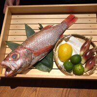 のどぐろ専門 銀座 中俣 - 