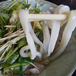 本格手打うどん 大河 - 