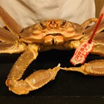 はらまさ - ズワイガニちゃん、いただきます