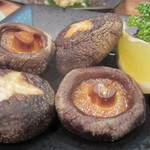 南湖 - 分厚いしいたけ焼き