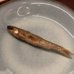 日本料理 久丹 - 子供の天然本もろこ。大きくなる前に捕まえて御免なさい