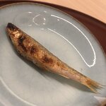 日本料理 久丹 - 此方は雌。もう卵を抱えていました