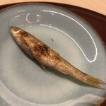 日本料理 久丹 - こちらはオスの成魚