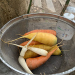 ショクヤボ農園 - 