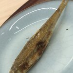 日本料理 久丹 - オスの成魚を背中側から撮影。身の暑さが分かると思います