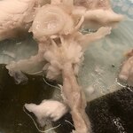 日本料理 久丹 - 背骨です。まるで十字架みたい。この後、手づかみでしゃぶり尽くします。尾札部の天然真昆布もウンマイ！