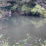 ショクヤボ農園 - 