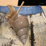 鮨 由う - 山口県萩産白バイ貝