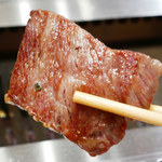 焼肉ぽんが - カイノミ