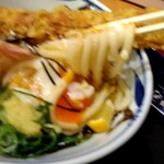 熟成うどん なかや - 