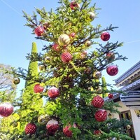 横浜うかい亭 - 